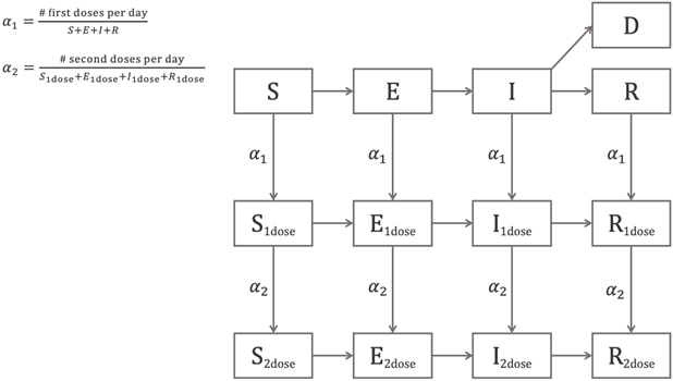 Schematic of the COVID-19 Simulator compartmental model, showing compartments for Susceptible, Exposed, Infectious, Recovered, and Dead individuals, stratified by vaccination status (unvaccinated, partially vaccinated, or fully vaccinated).